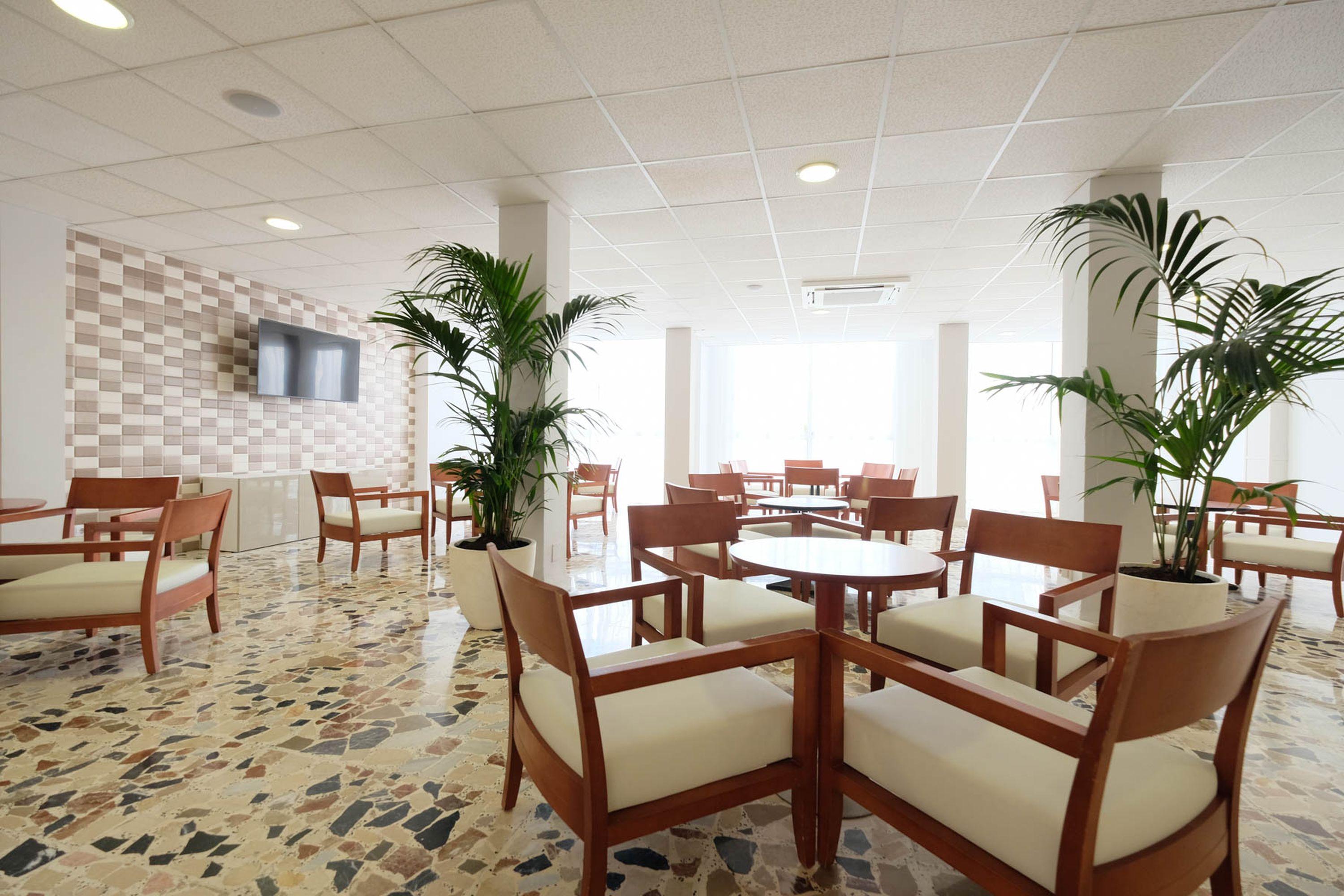Azuline Hotel Palmanova Garden Εξωτερικό φωτογραφία